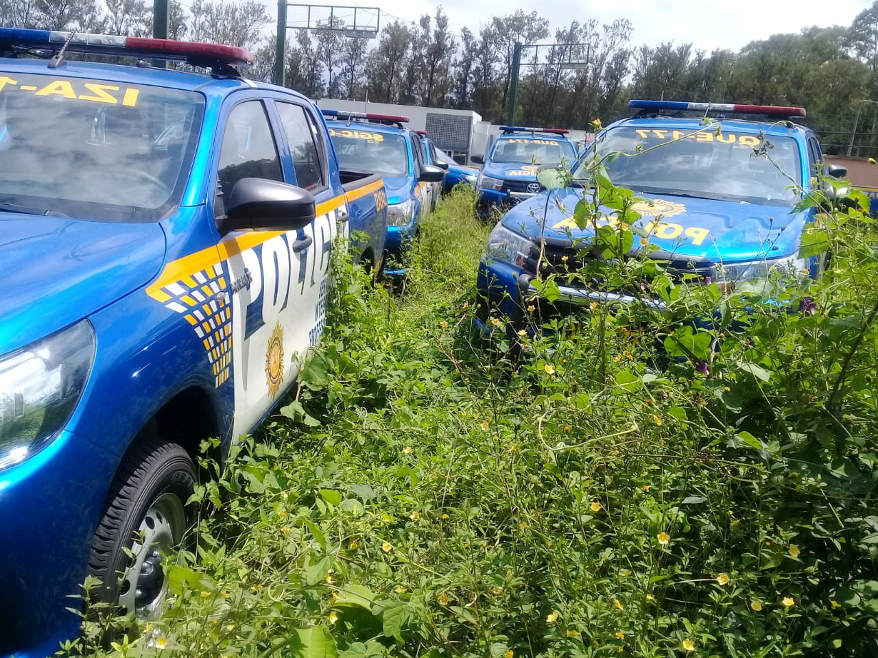 Maleza crece entre patrullas estacionadas en la sede de la academia en la Colonia Cipresales zona 6 capitalina. (Foto Prensa Libre: Mike Castillo)