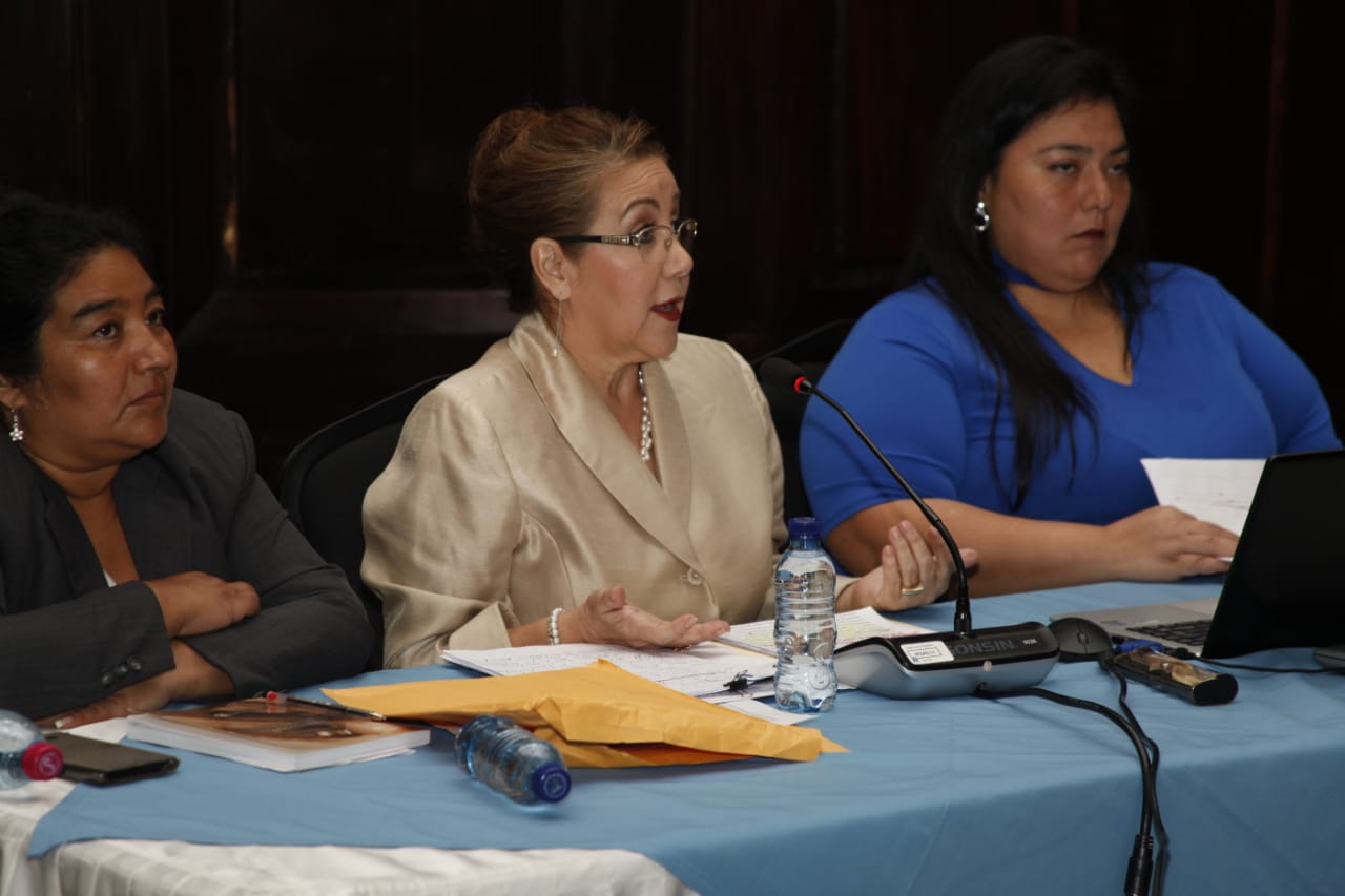 Blanca Stalling denunció a la Cicig ante la comisión de la verdad del Congreso. (Foto Prensa Libre: Noé Medina)