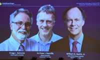 The winners of the 2019 Nobel Prize in Physiology or Medicine (L-R) Gregg Semenza of the US, Peter Ratcliffe of Britain and William Kaelin of the US appear on a screen during a press conference at the Karolinska Institute in Stockholm, Sweden, on October 7, 2019. - William Kaelin and Gregg Semenza of the US and Peter Ratcliffe of Britain win the 2019 Nobel Medicine Prize. (Photo by Jonathan NACKSTRAND / AFP)
