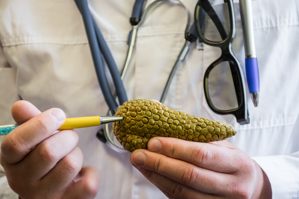 El páncreas es un órgano importante para el buen funcionamiento del organismo, así que es necesario que esté saludable. (Foto Prensa Libre: Shutterstock)