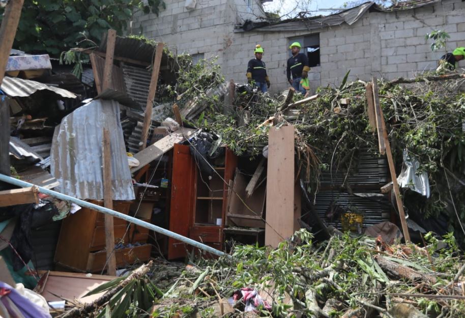 El árbol cayó sobre varias viviendas ubicadas en Acatán, zona 16. (Foto Prensa Libre: Érick Ávila))