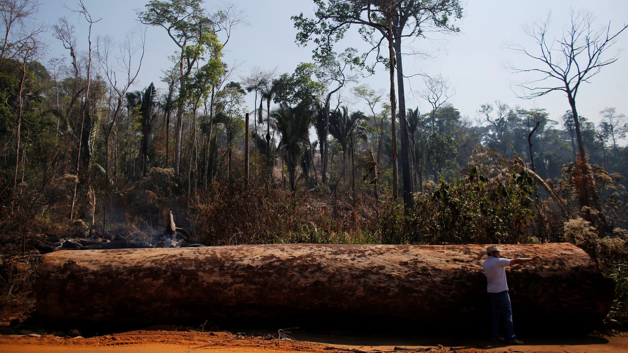 Algunos científicos sostienen que la Amazonía ha sufrido pérdidas aceleradas desde que Jair Bolsonaro asumió la presidencia. REUTERS