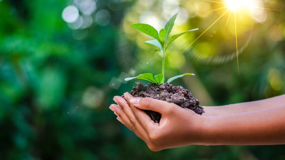 (Foto Prensa Libre: Getty Images)