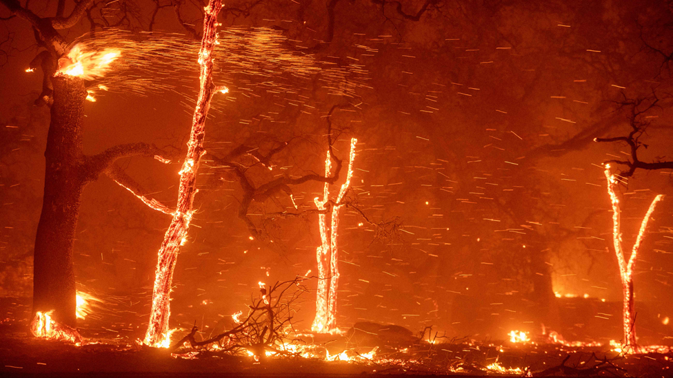 Los incendios forestales en California se han vuelto más frecuentes debido al cambio climático. Los científicos tienen una obligación moral de advertir claramente a la humanidad, afirmaron los autores del mensaje. Foto: AFP