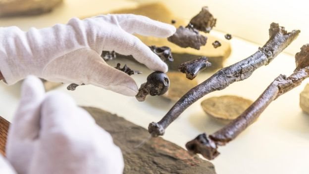 Los investigadores hallaron huesos de cuatro fósiles: un macho y dos hembras adultos, y un juvenil.