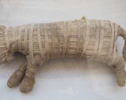 Las raras momias de animales que Egipto exhibe por primera vez