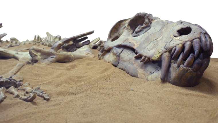 Los dinosaurios murieron hace cerca de 66 millones de años.