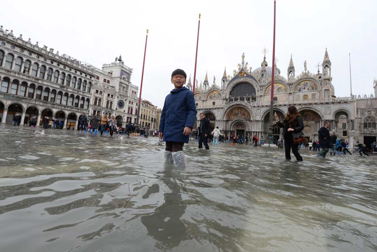 Cómo es el frágil bosque de pilares que sostiene a una Venecia cada vez más en peligro