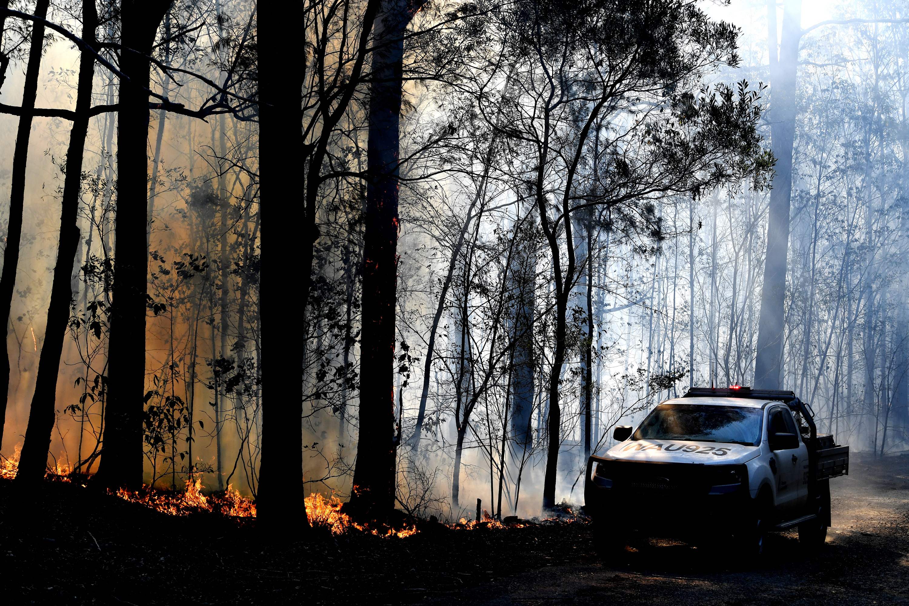 Un área  de dos mil hectáreas han sido devastada durante la temporada de incendios forestales, la cual comenzó antes de tiempo. (Foto Prensa Libre: AFP)
