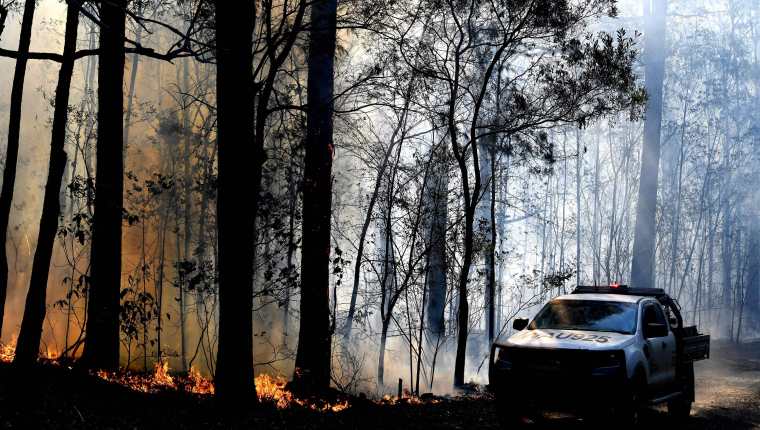 Un área  de dos mil hectáreas han sido devastada durante la temporada de incendios forestales, la cual comenzó antes de tiempo. (Foto Prensa Libre: Hemeroteca PL)