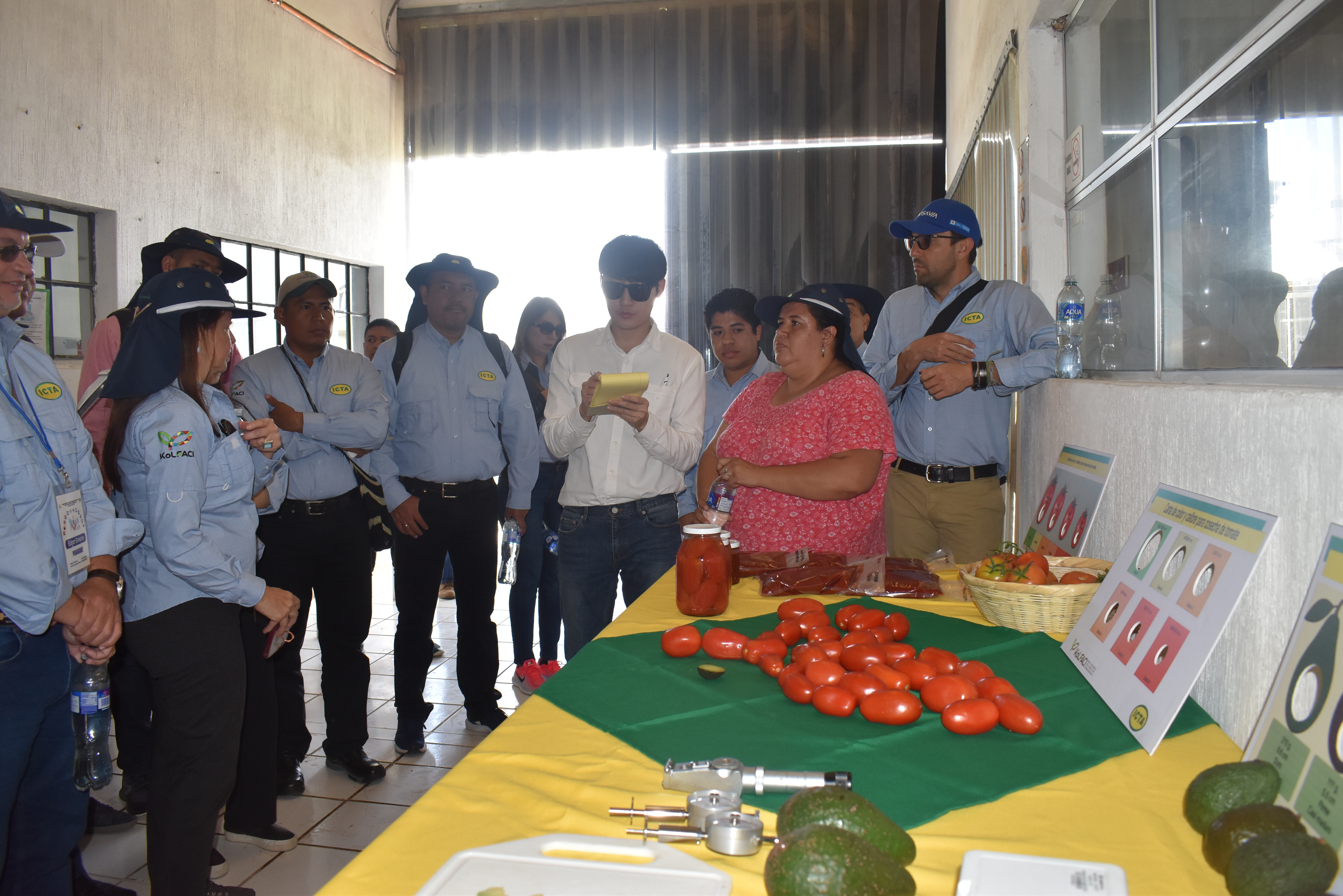 Integrantes de la iniciativa KoLFACI conocieron sobre el manejo postcosecha del tomate. (Foto Prensa Libre: Cortesía ICTA)