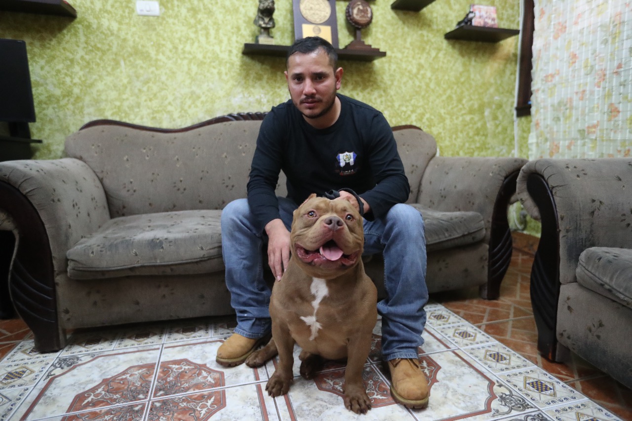 Mr. Snickers posa junto a su propietario, Gino Barillas, el perro ha ganado varias exposiciones a escala nacional e internacional. (Foto Prensa Libre: Miriam Figueroa) 