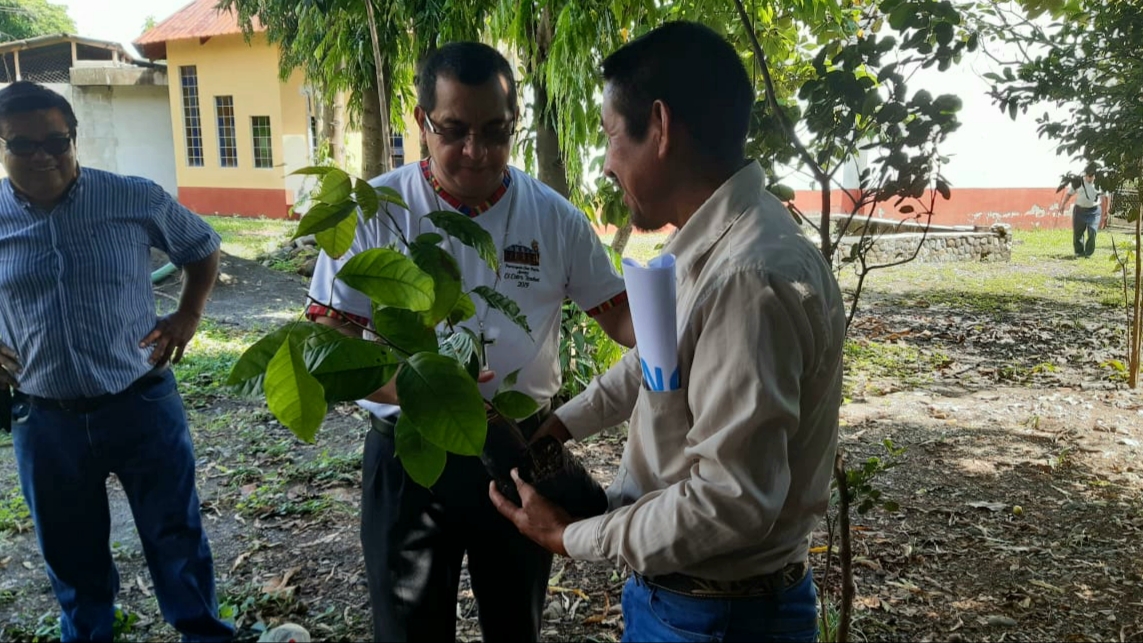 Domingo Buezo, obispo de Izabal, entrega un árbol a un misionero que reforestará áreas de El Estor. (Foto Prensa Libre: Dony Stewart)