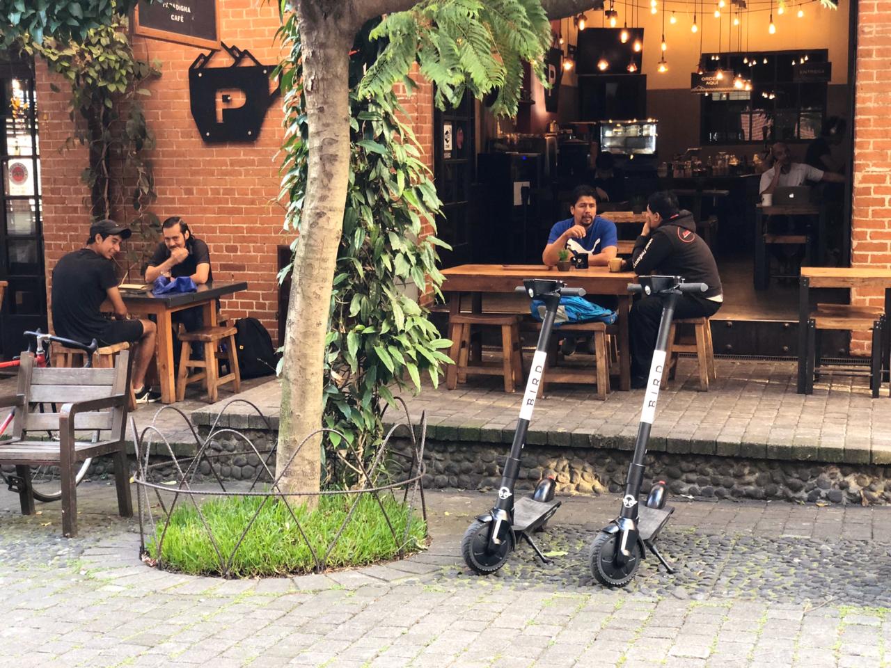 Con la aplicación Bird se puede alquilar patinetas eléctricas o scooters para desplazarse por ciertas zonas de la ciudad. (Foto Prensa Libre: cortesía Wayfree)