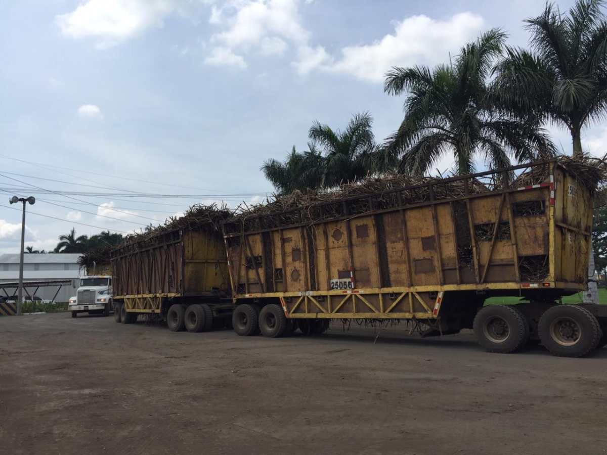 La zafra en imágenes: Cuánto espera inyectar el sector azucarero guatemalteco a la economía del país