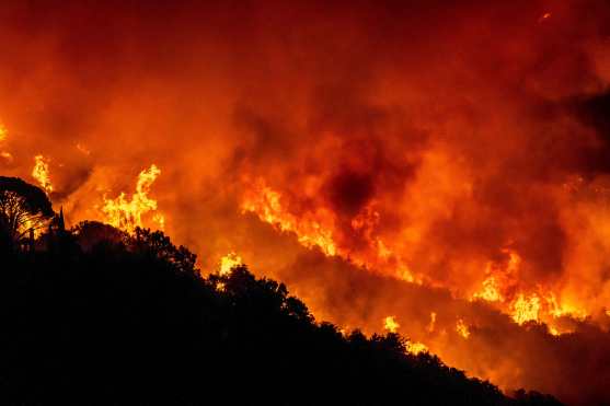 Los vecinos del Bosque Nacional Los Padres ya vivieron el azote de un voraz incendio bautizado Thomas, que en diciembre de 2017 arrasó 114 mil 78 hectáreas de terreno, el segundo más grande de la historia de California hasta la fecha. (Foto Prensa Libre: AFP)