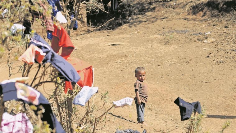 Los niños guatemaltecos son vulnerables debido a la falta de inversión estatal. (Foto Prensa Libre: Hemeroteca PL)