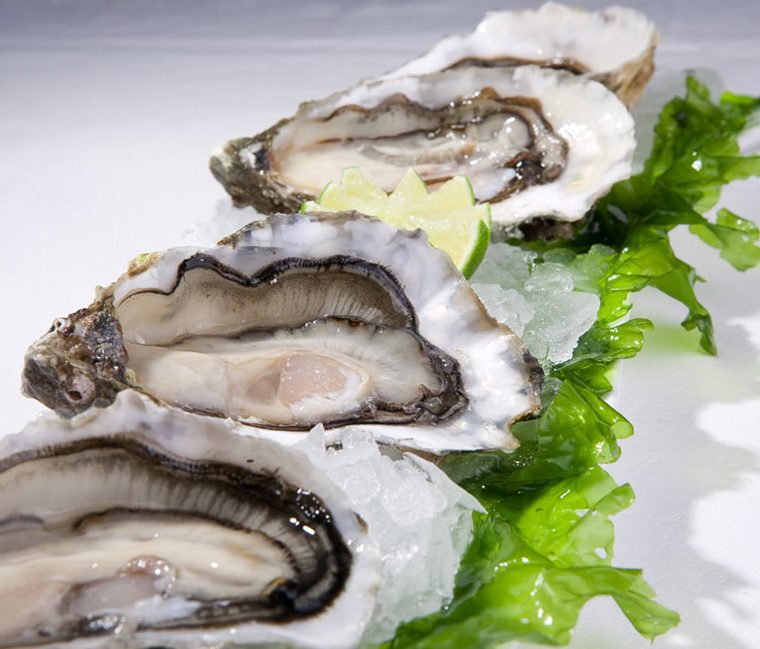 Las ostras son parte de los moluscos que Salud recomienda no comer. (Foto Prensa Libre: Hemeroteca PL)