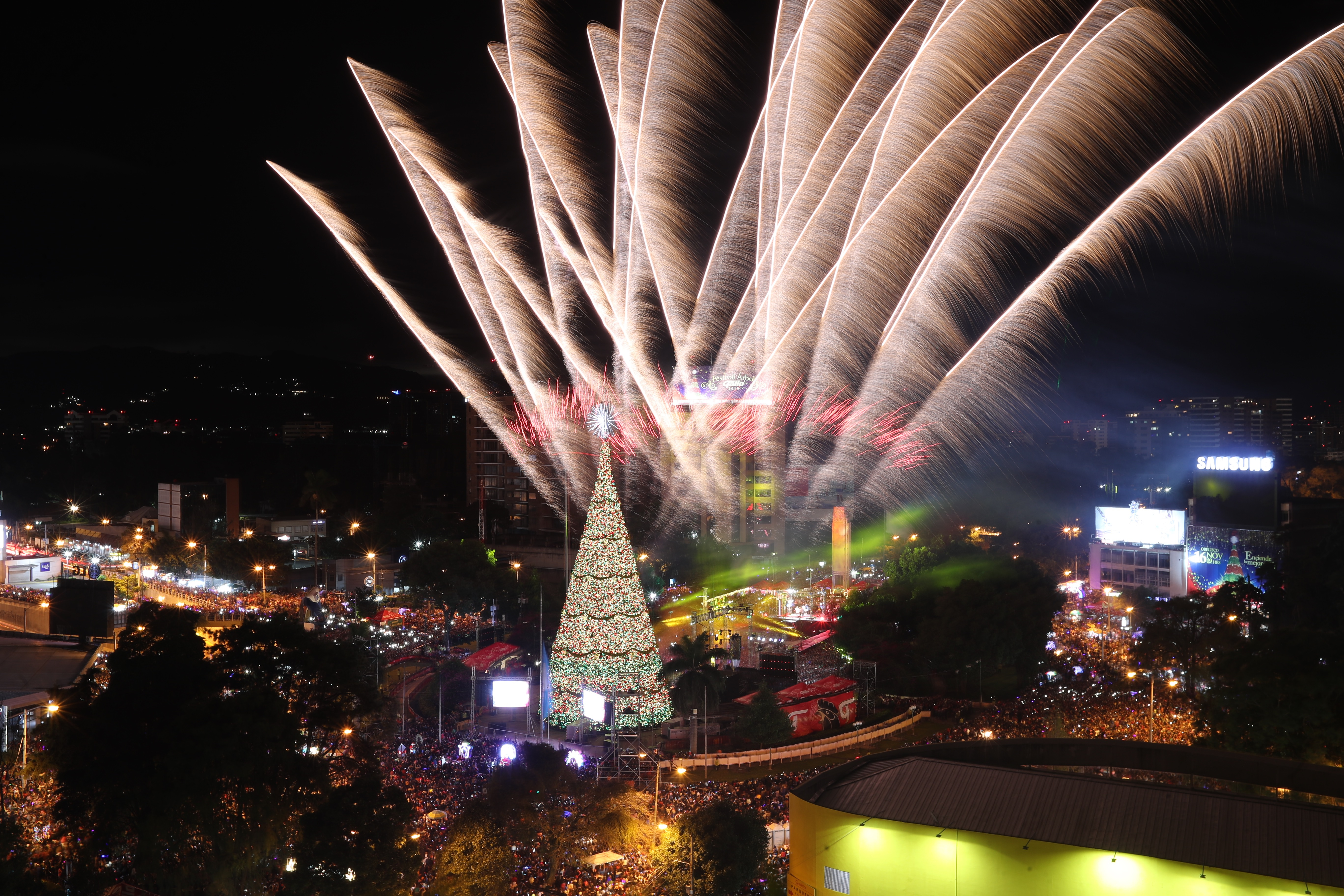 El tradicional Árbol Gallo fue iluminado en el Obelisco. Fotografía Érick Ávila.