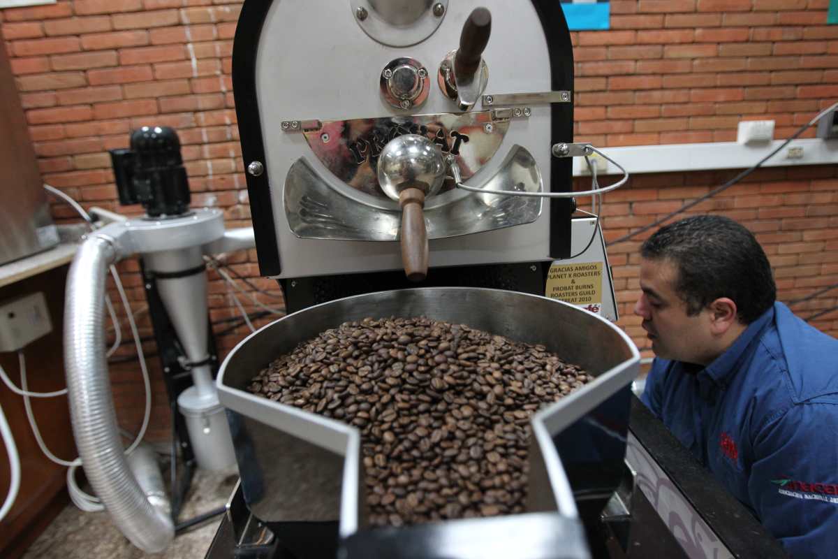 Malasia y China fueron los nuevos mercados de exportación del café guatemalteco en la cosecha 2018/2019