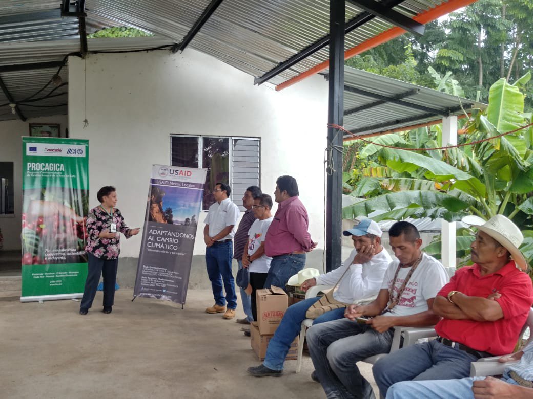 Usaid financia programas de seguridad, agricultura, educación y ambiente en Guatemala. (Foto Prensa Libre: Tomada de Usaid Nexos Locales/Twitter)