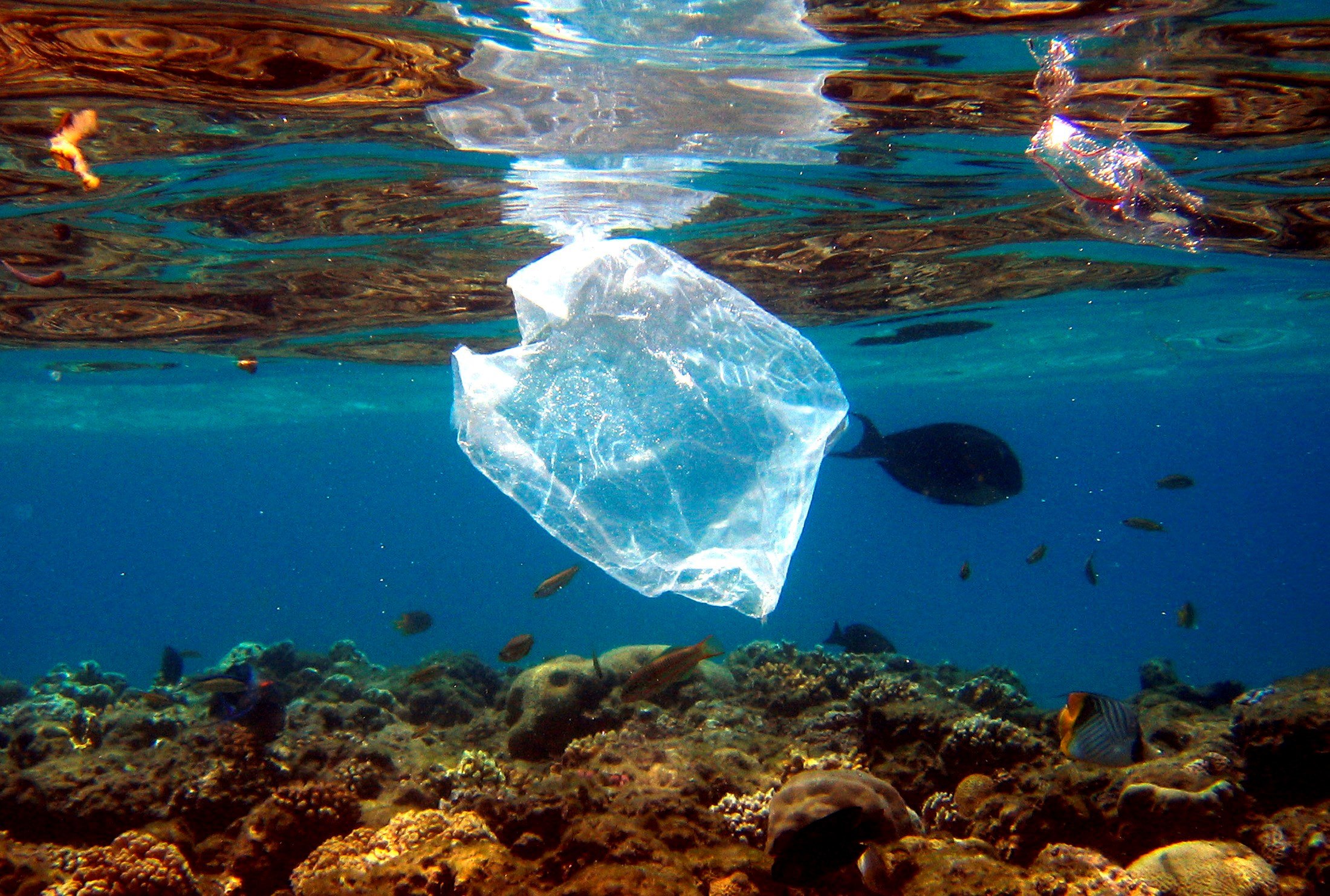 Más de 300 mil toneladas de residuos de plástico en el Caribe no son recogidas cada año. (Foto Prensa Libre: AFP)
