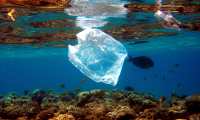 Más de 300 mil toneladas de residuos de plástico en el Caribe no son recogidas cada año. (Foto Prensa Libre: AFP)