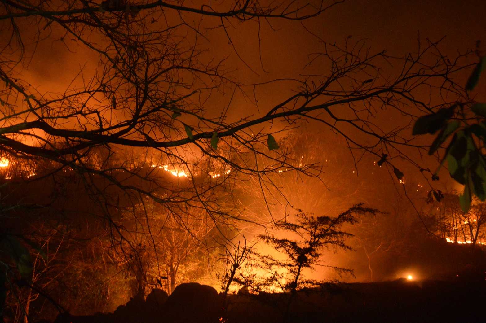 Los daños causados por los incendios forestales son incalculables aseguran ambientalistas. (Foto Hemeroteca PL)