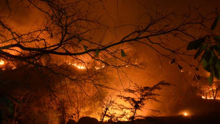 Los daños causados por los incendios forestales son incalculables aseguran ambientalistas. (Foto Hemeroteca PL)