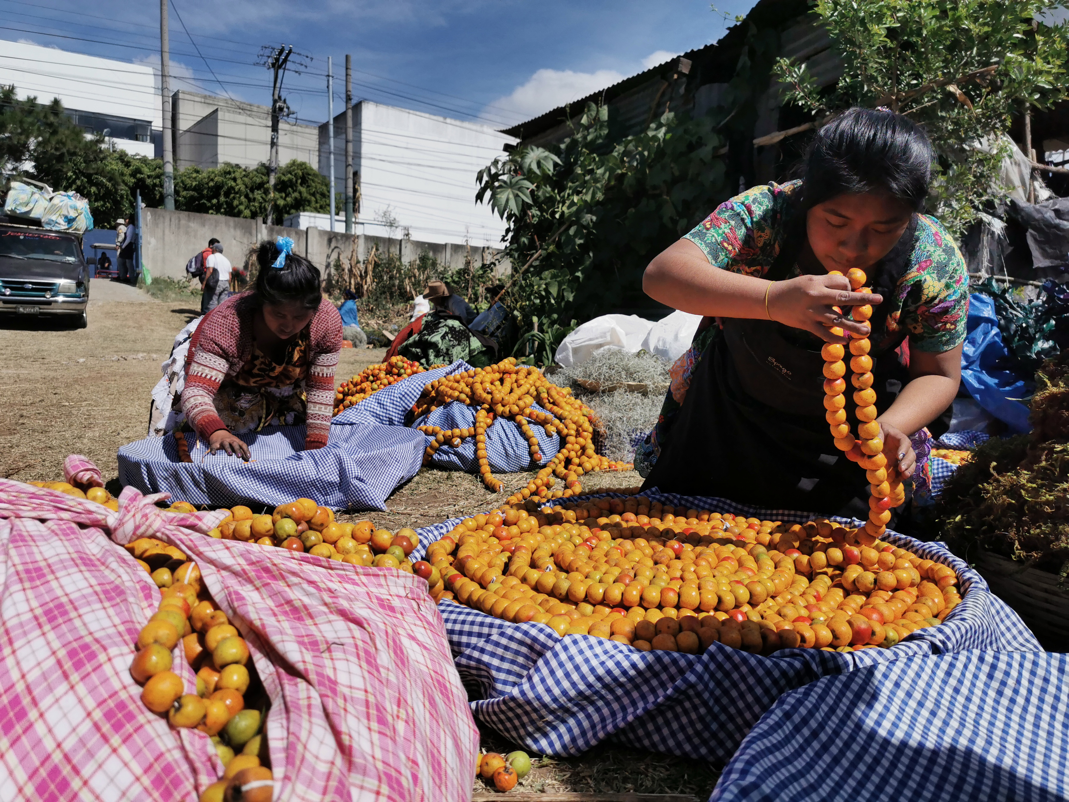 Ventas del artículos navideños en los campos a un costado del Centro Universitario Metropolitano (CUM), en la zona 11 de la ciudad capital.  Fotografía Prensa Libre: María Reneé Barrientos Gaytán