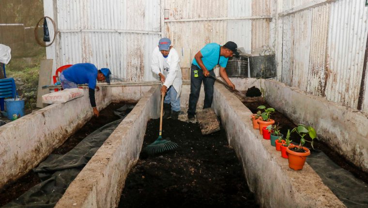 Comunitarios de Loma Linda, El Palmar, Quetzaltenango, producen fertilizante orgánico desde hace 10 años que sirve para los cultivos de café en la zona.  (Foto Prensa Libre: Rolando Miranda)