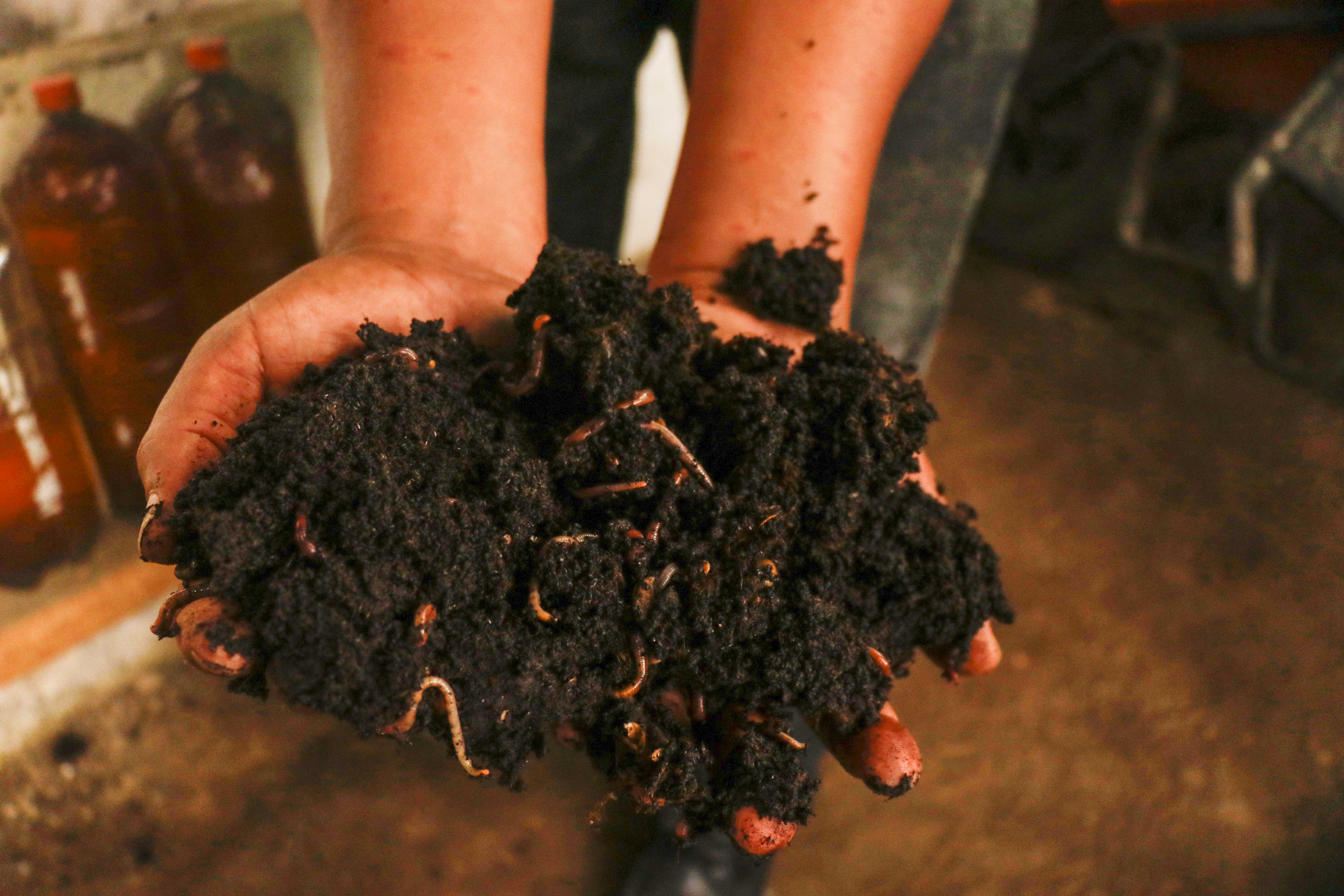 Aldea al pie del Volcán Santiaguito produce abono orgánico