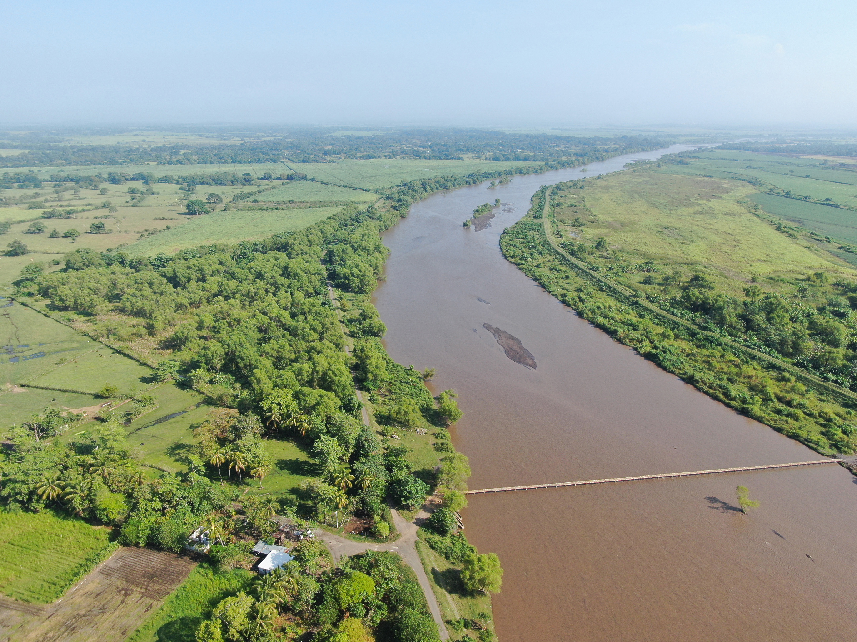 Los bosques de ribera no solo funcionan como una barrera natural ante desastres naturales, sino que también mantienen el equilibrio de la biodiversidad. (Foto Prensa Libre: Carlos Paredes)