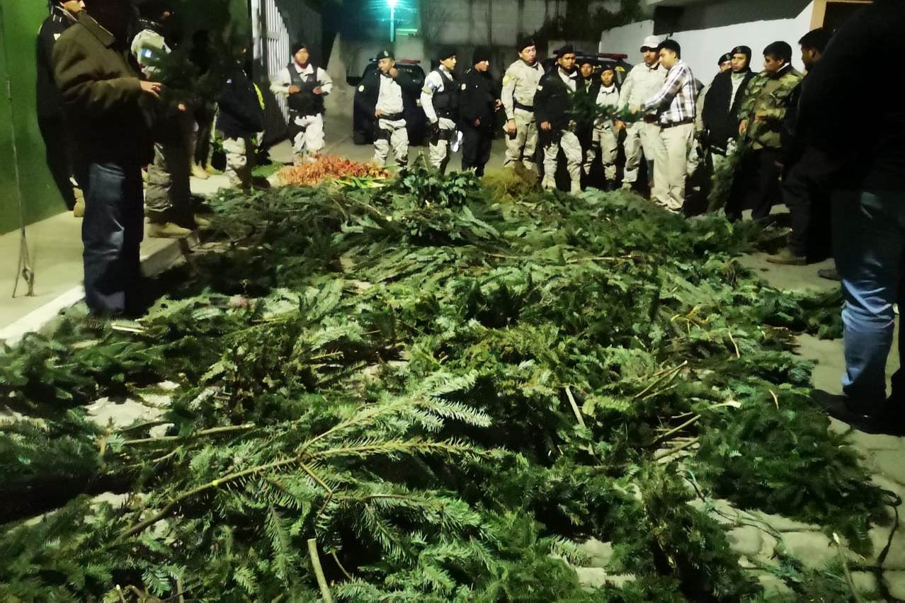 La mayoría de los decomisos de ramillas de pinabete en la cabecera departamental de Quetzaltenango se registraron en el mercado La Democracia y en la Terminal Minerva, zona 3 de Xela. (Foto Prensa Libre: María Longo) 