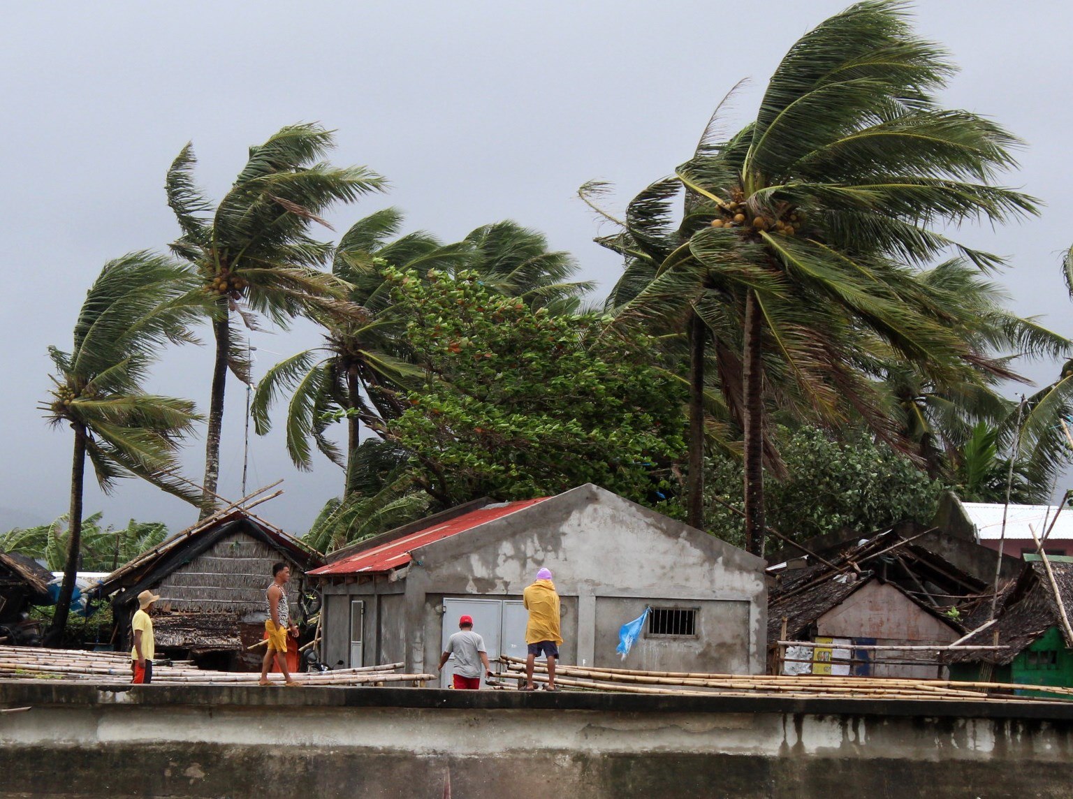 Los aldeanos ven fuertes vientos que soplan árboles junto a las casas en la ciudad de Calabanga, provincia de Camarines sur, Filipinas. (Foto Prensa Libre: EFE)