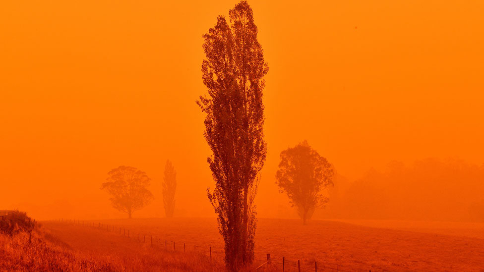 Los fuegos golpean con dureza el estado de Nueva Gales del Sur. GETTY IMAGES