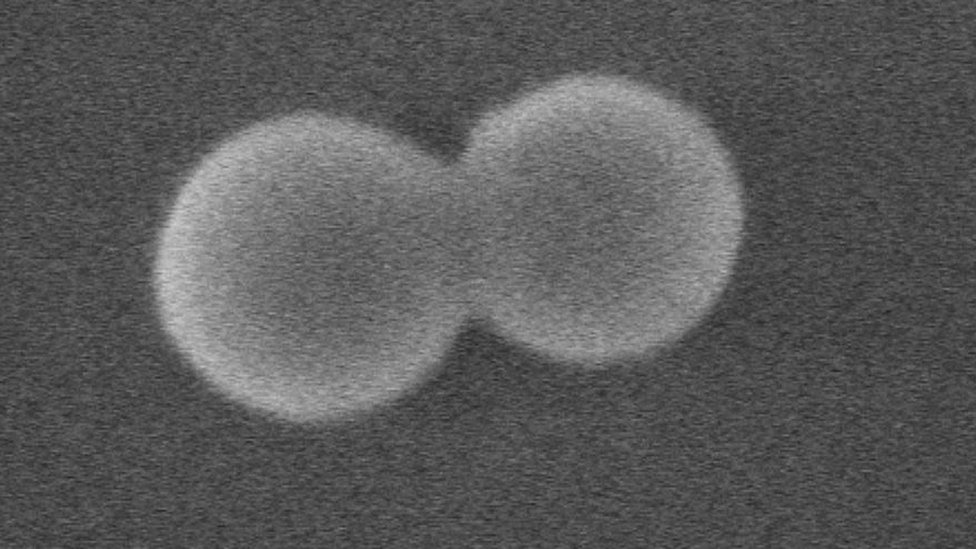 El rotor nanométrico gira a 300 mil millones de revoluciones por minuto. (Foto Prensa Libre: Jaehoon Bang/Universidad de Purdue)