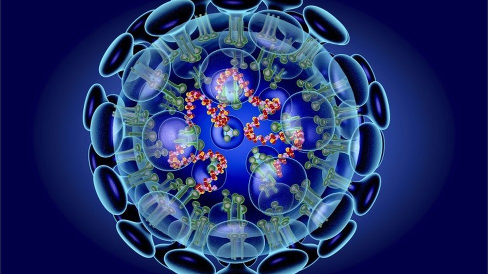 Se cree que el virus 2019-nCoV es una nueva cepa de coronavirus que no se había identificado previamente en humanos. SCIENCE PHOTO LIBRARY