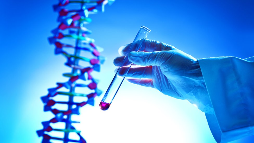 La terapia genética, lo más avanzado en la ciencia de la salud, requiere introducir material genético en las células para compensar los genes anormales.