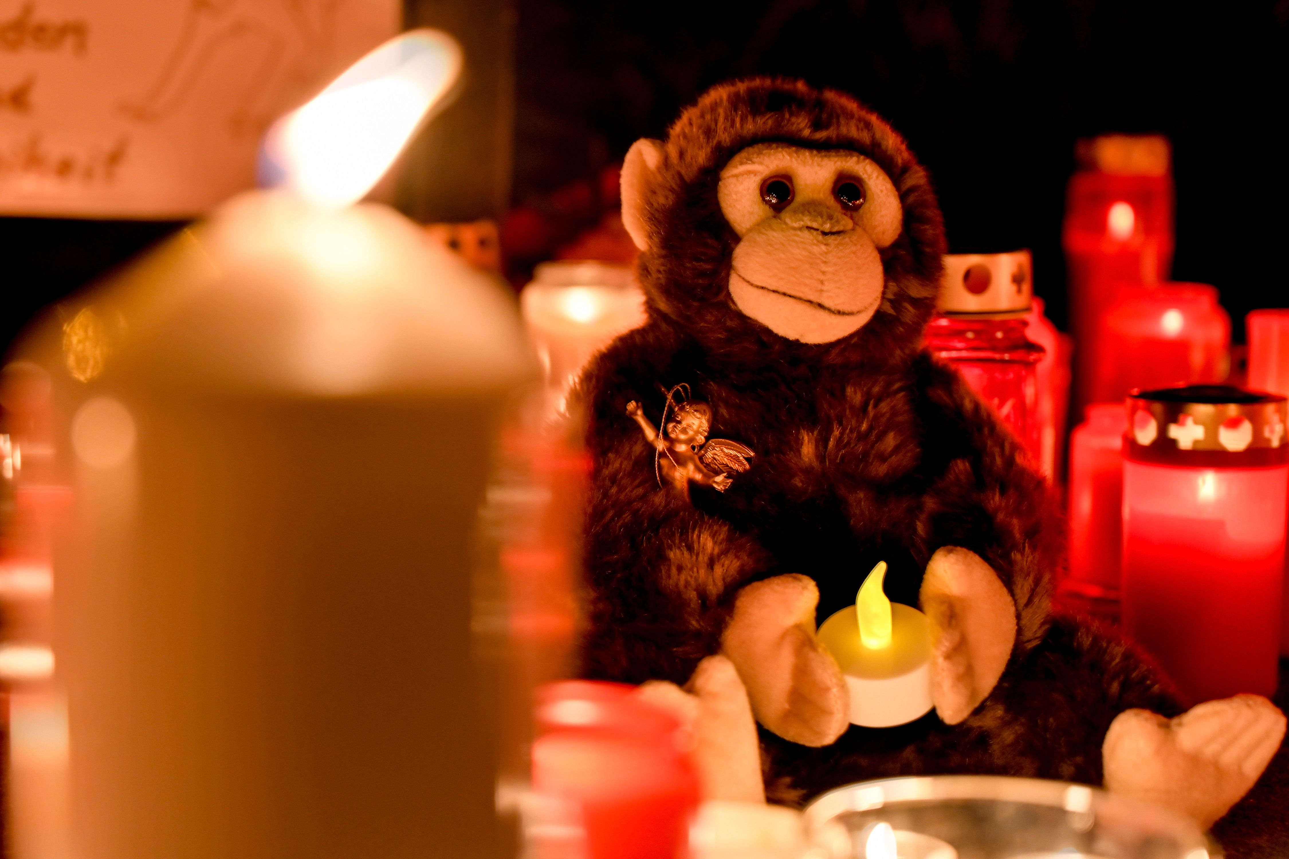 La comunidad de Krefeld se entristeció por la muerte de los simios a causa de la pirotecnia. (Foto Prensa Libre: Hemeroteca PL)

