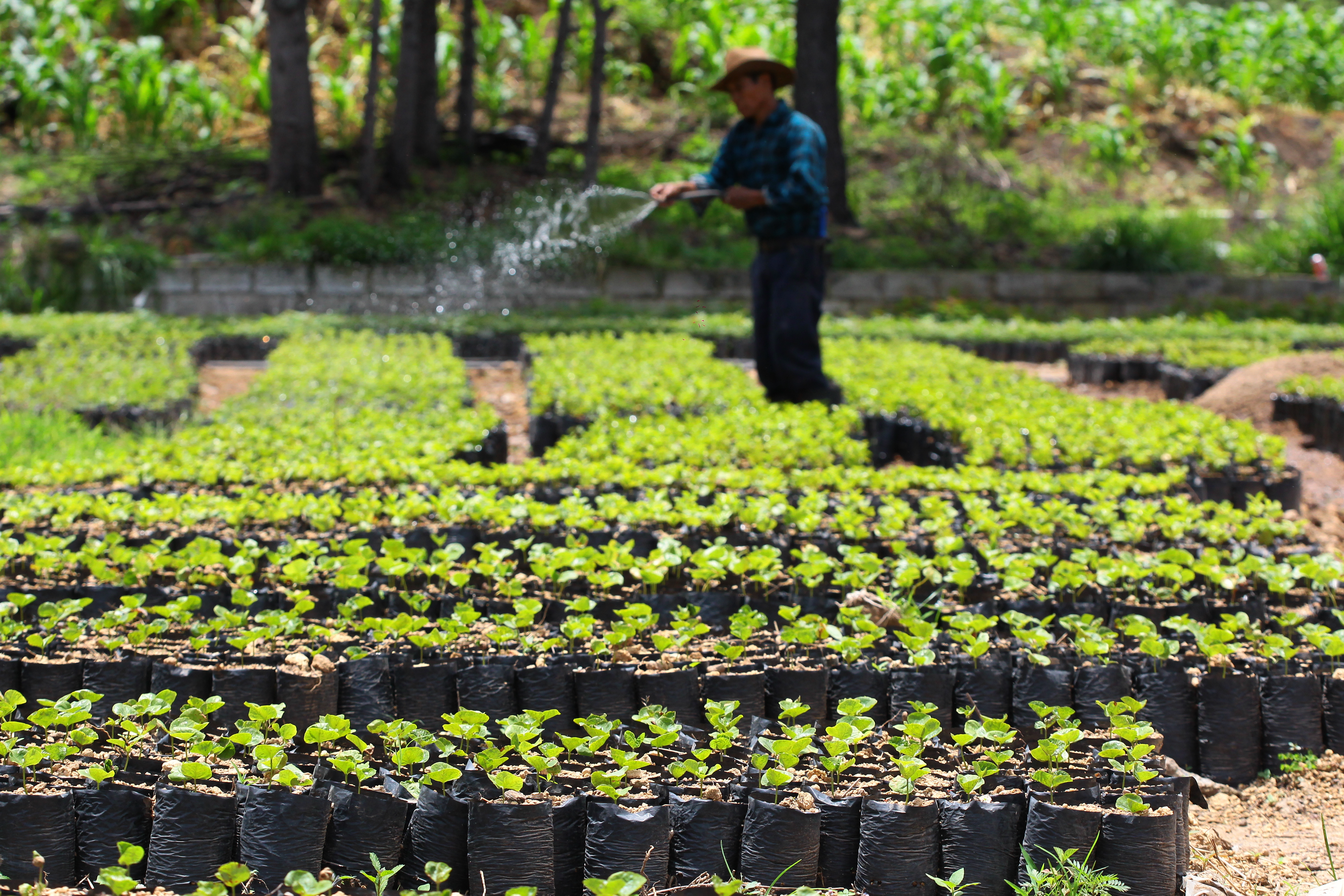 Las microfinanzas se enfocan en apoyar a grupos o asociaciones y también son conocidos como bancos comunitarios. El REM permitirá conocer los usuarios y el comportamiento del mercado de las microfinanzas. (Foto Prensa Libre: Álvaro Interiano)