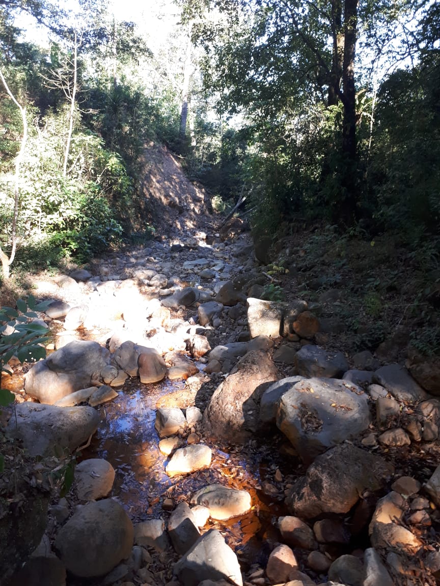 Dentro de los terrenos también hay un riachuelo natural. (Foto Prensa Libre: Ministerio Público)