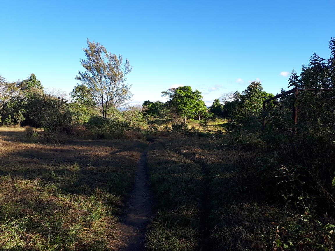 Las fincas de Sinibaldi estaban ubicadas entre los municipios de Pueblo Nueva Viñas y Barberena, Santa Rosa. (Foto Prensa Libre: Ministerio Público)