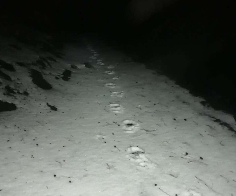 La cima del volcán Acatenango está cubierta por una capa de hielo debido a las extremas temperaturas. (Foto Prensa Libre: cortesía Leonidas Gonzalez)
