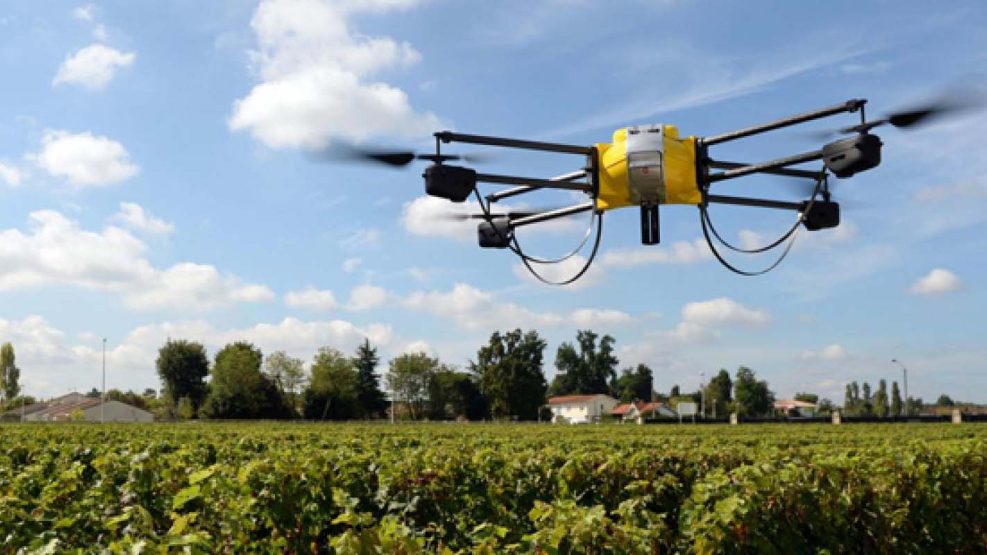 Los drones que emplea el modelo ayudan a los agricultores a mapear los campos, monitorear los cultivos de forma remota y comprobar si hay anomalías. (Foto Prensa Libre: Shutterstock)