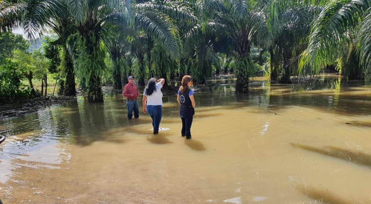 Inundaciones dejan mil 62 personas afectadas en Izabal y Alta Verapaz