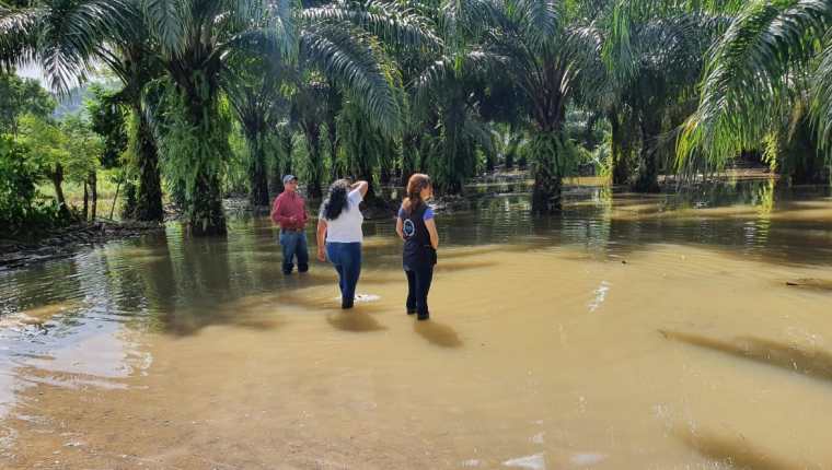 Pastizales cercanos al puente de Río Dulce, Livingston, Izabal han quedado inundados.(Foto Prensa Libre: Dony Stwart)