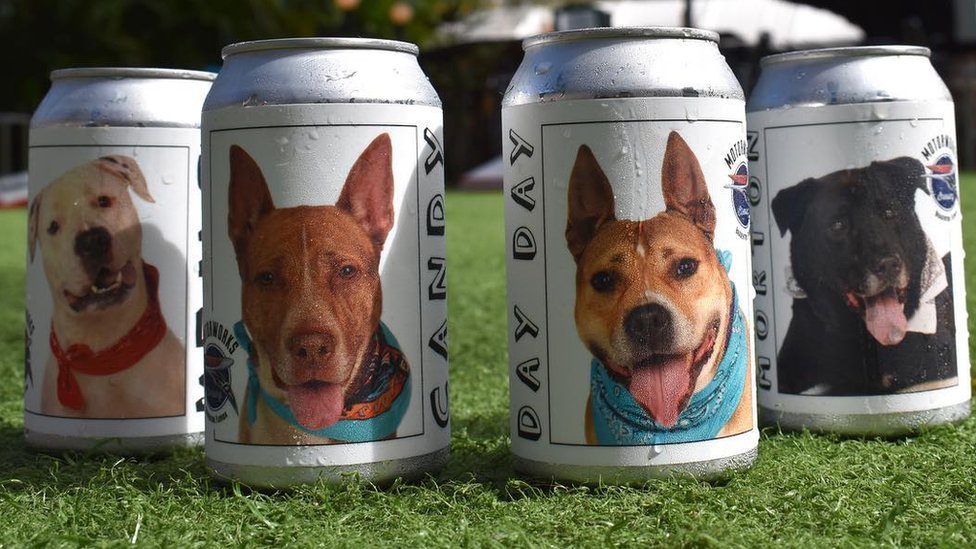 Cómo unas latas de cerveza llevaron a una mujer a reencontrarse con su perra perdida