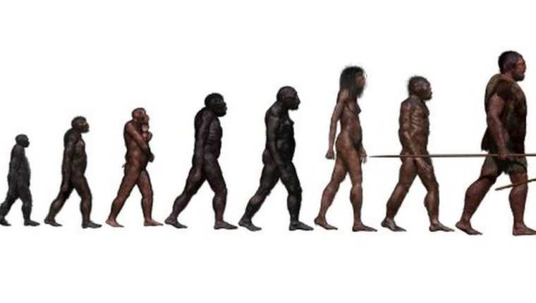 La historia de la evolución humana se está volviendo más complicada de lo que esta fotografía muestra...