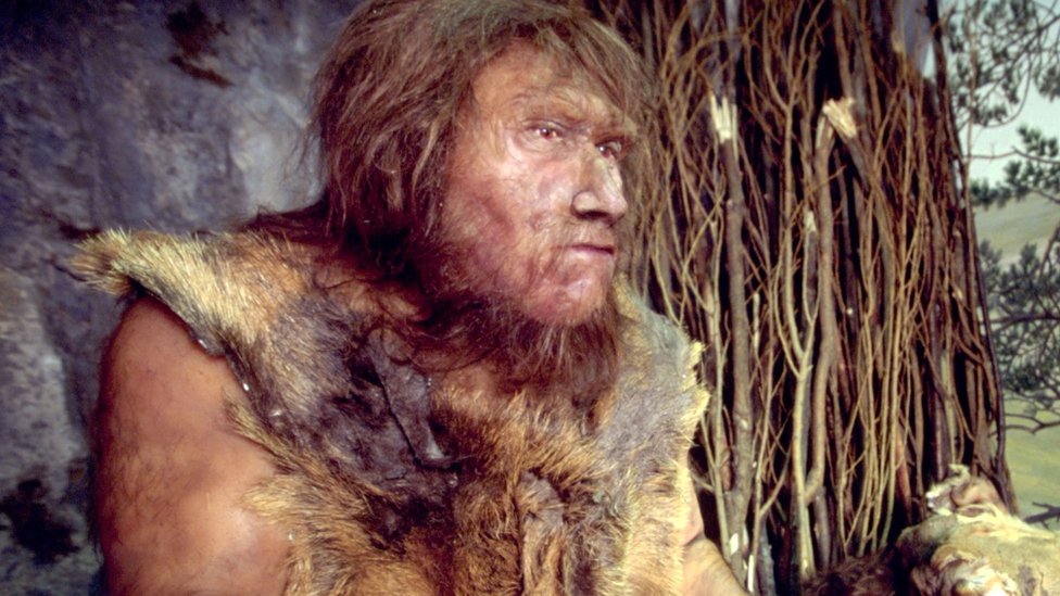 Mucho de lo que sabemos sobre los neandertales se basa en descubrimientos hechos hace décadas. Foto:Getty Images